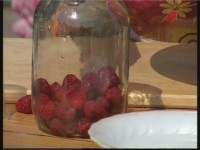  ��������� ���� �����: ������ �� ������ �� ���� (2011)  SATRip