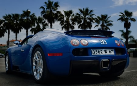 Wallpapers ������ ���� ��� �������� ����� (2011) � 256