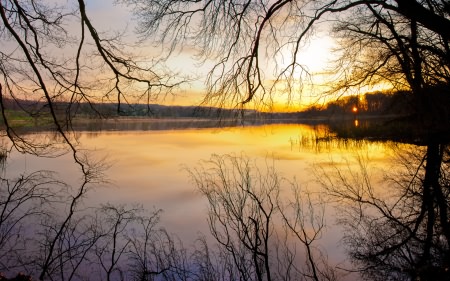 Wallpapers ������ ���� ��� �������� ����� (2011) � 256