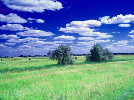 Wallpapers ������ ���� ��� �������� ����� (2011) � 256