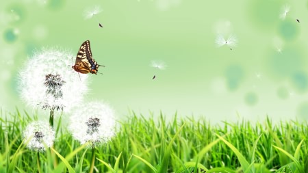 Wallpapers ������ ���� ��� �������� ����� (2011) � 257