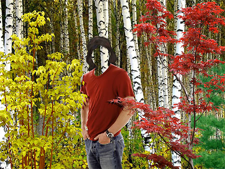 ������ PSD - Ҹ���� �����