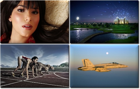 Favorites Wallpapers for PC -     - Mega Pack 443