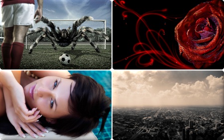 Selected Wallpapers for desktop -      - Mega Pack 444