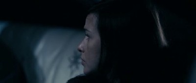 ����� �������� / Stake Land (2010/1400/HDRip)