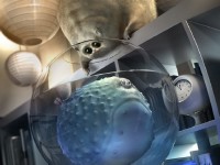 Amazing Wallpapers for desktop - ���� ��� �������� ����� - Mega Pack 447