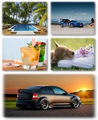 ������������� ���� ��� �������� ����� (2011) � 270