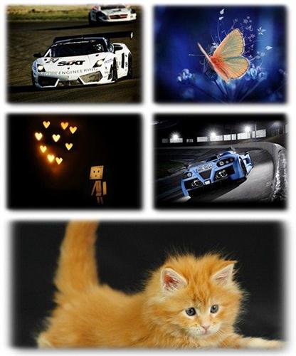 ������ ���� ��� �������� ����� (2011) � 272