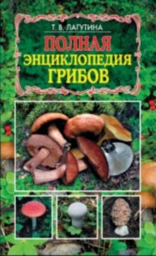 ������ ������������ ������