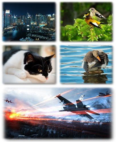 ������ ���� ��� �������� ����� (2011) � 279