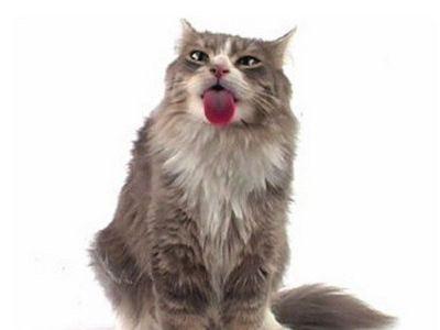 ���������� ����������� ����� ���������� �����!