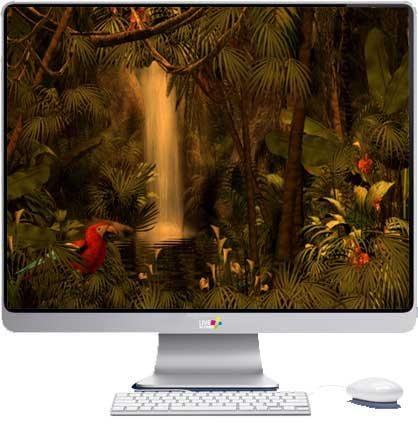 ����������� ��������� ���!