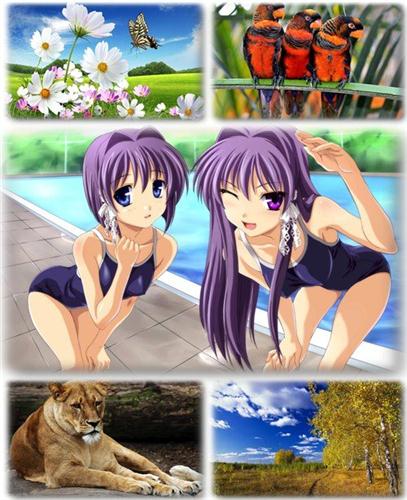 ������������� ������ ���� ����� ��� �������� ����� (2011) �281