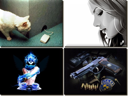 Favorites Wallpapers for desktop -      455