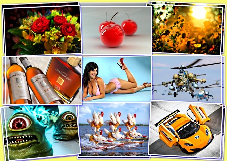 ���� � �������� - �������� �������� (������ 14)