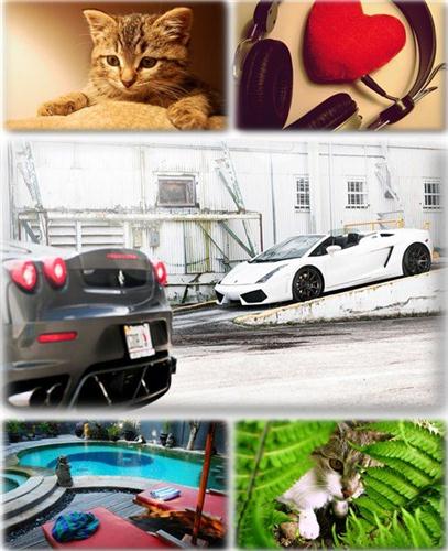 ������������� ������ ���� ����� ��� �������� ����� (2011) �285