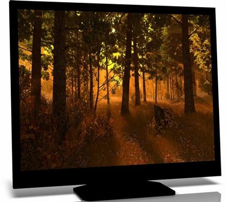 Autumn Forest 3D Screensaver 1.0.0.1