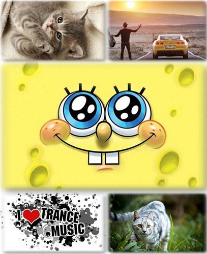 ������������� ������ ���� ����� ��� �������� ����� (2011) �286