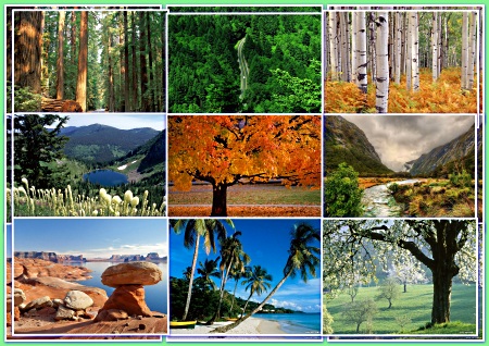 ���� HD Wallpapers - ������ ������� (����� 18)