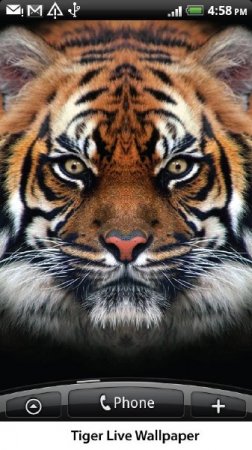 ����� ������������� ���� ��� Android (2011)