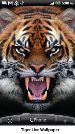 ����� ������������� ���� ��� Android (2011)