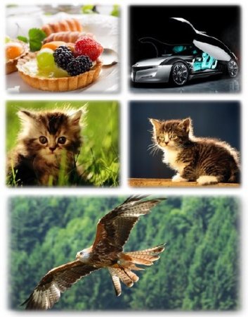 Wallpapers ������ ���� ��� �������� ����� (2011) � 265