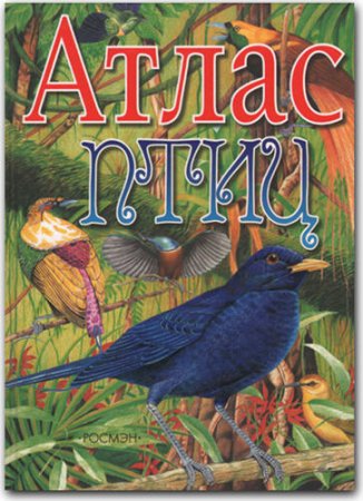 ����� ���� (�.�. �������)