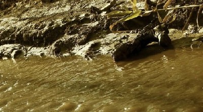 ���� ������� / Mega Piranha (2010/DVDRip)