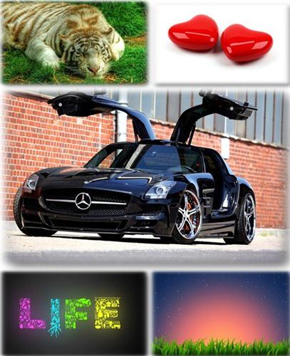 ������������� ������ ���� ����� ��� �������� ����� (2011) �292