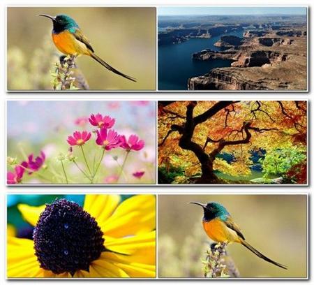 85 Perfect Mixed HQ Colorful HD Incredible Wallpapers