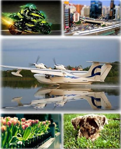 ������������� ������ ���� ����� ��� �������� ����� (2011) �293