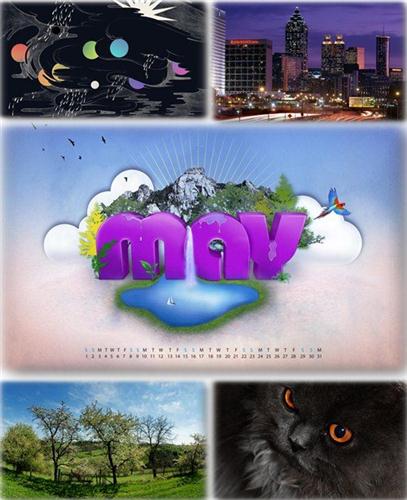 ������������� ������ ���� ����� ��� �������� ����� (2011) �295