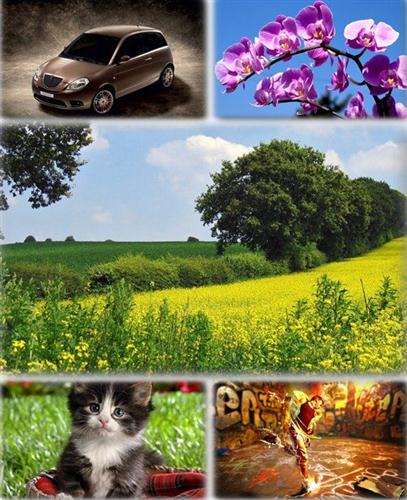 ������������� ������ ���� ����� ��� �������� ����� (2011) �297