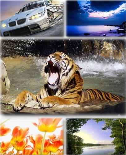 ������������� ������ ���� ����� ��� �������� ����� (2011) �298