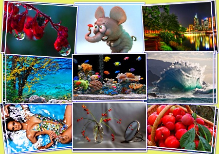 ���� � �������� - �������� �������� (������ 15)