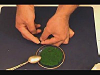 6 ��������� ������������� ���� (2011/mp4)