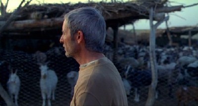 ������ ���� (2010/DVD9/DVDRip)