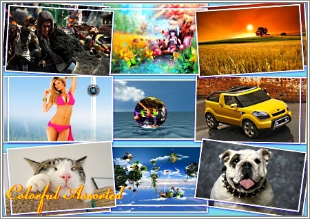 ���� ��� �������� ����� ��������� ������� (����� 16)