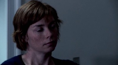 ������ ������� / William Vincent / Shadows And Lies (2010/HDRip)