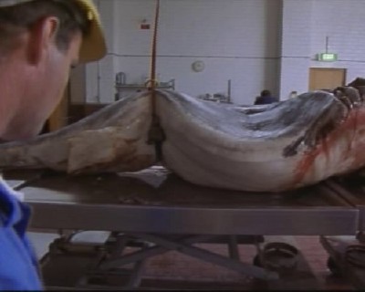 �����-������. ������ � ���� ������ / Great White. Deep Trouble (2000/DVDRip)