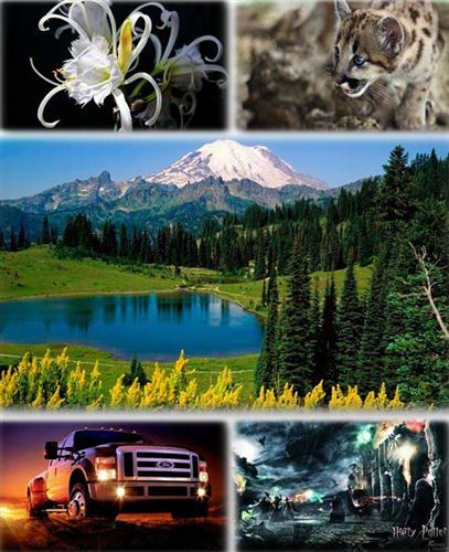 ������������� ������ ���� ����� ��� �������� ����� (2011) �300