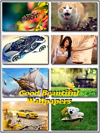 ������������ ���� - Good beautiful Wallpapers (������ 4)