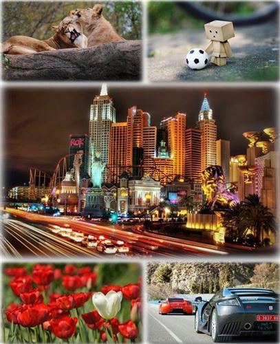 ������������� ������ ���� ����� ��� �������� ����� (2011) �301