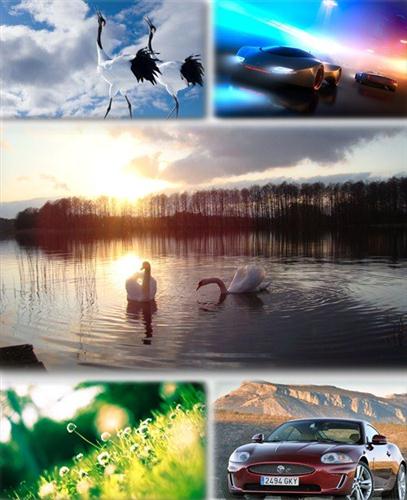 ������������� ������ ���� ����� ��� �������� ����� (2011) �304