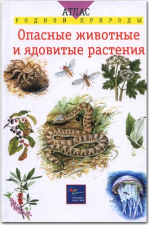 ����� ������ �������. ������� �������� � �������� ��������