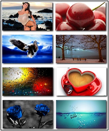 ���� ��� �������� ����� ��������� ������� (����� 19)