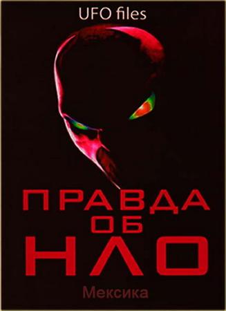 ������ �� ���. ������� / UFO Files (2008) SATRip