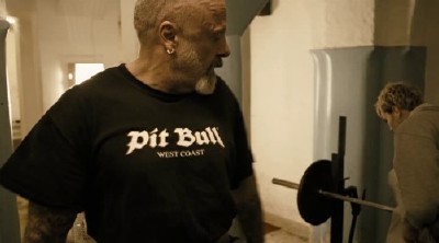 ����������� � / R (2010/DVDRip/1400Mb)