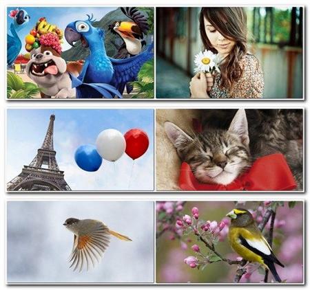  Desktop    .  271 (2011)