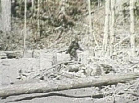 ���������� �������� � ��� (2006) SATRip